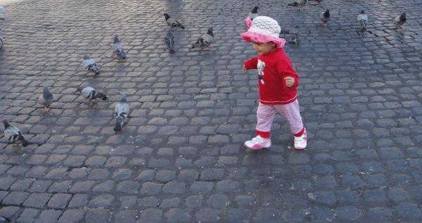 Pigeons...wheeeeee!