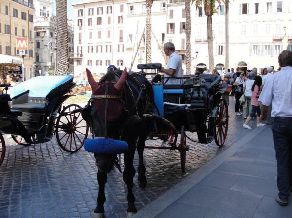 A horse carriage ride anyone? 
